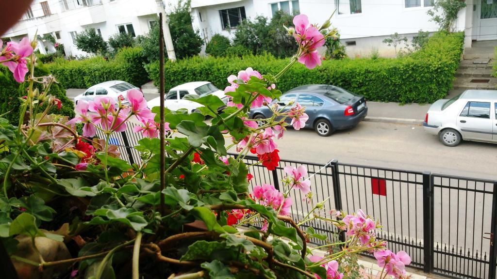Lucas 38 Apartments คลูจ-นาโปกา ภายนอก รูปภาพ